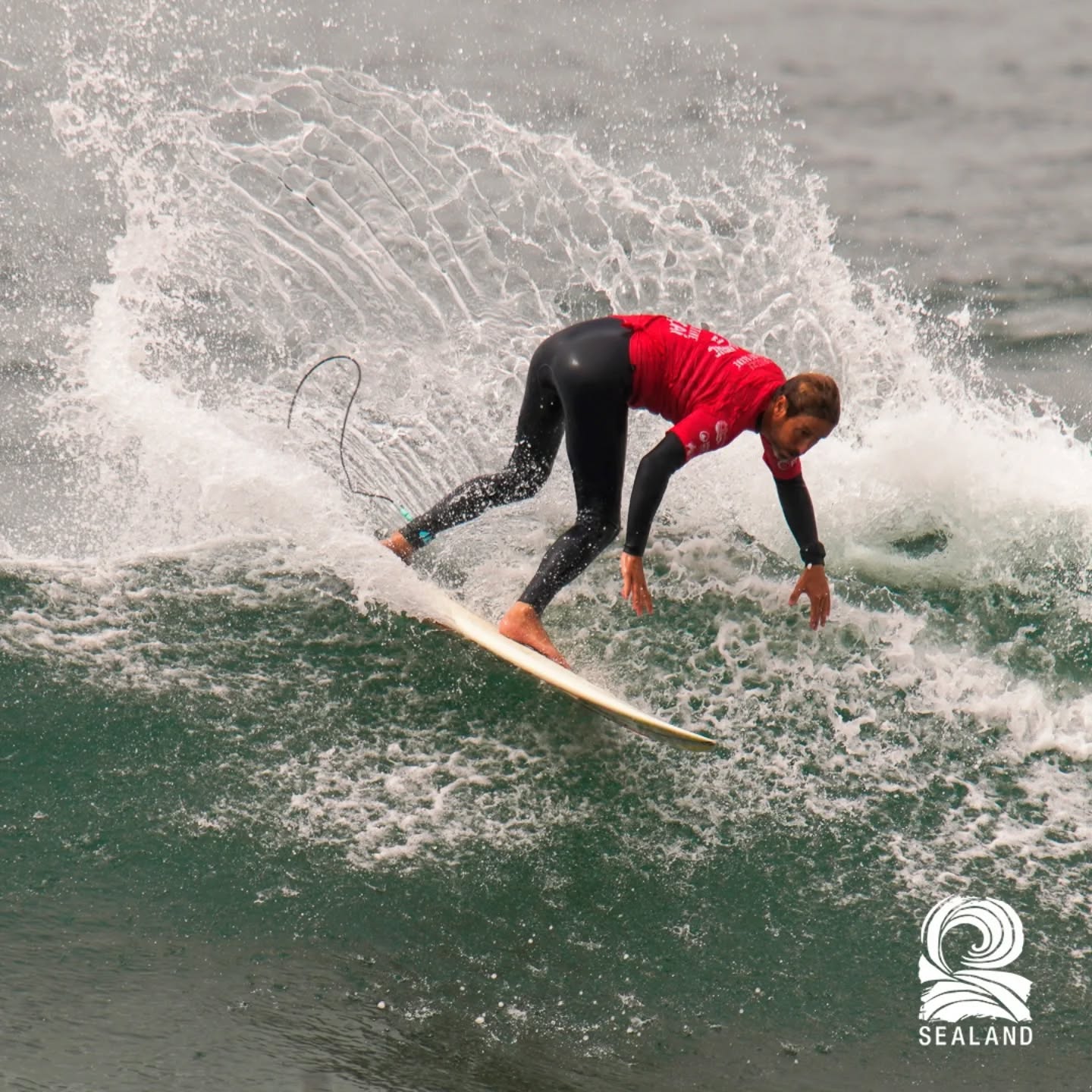 552148731_18532377046048231_7913907712455145434_n