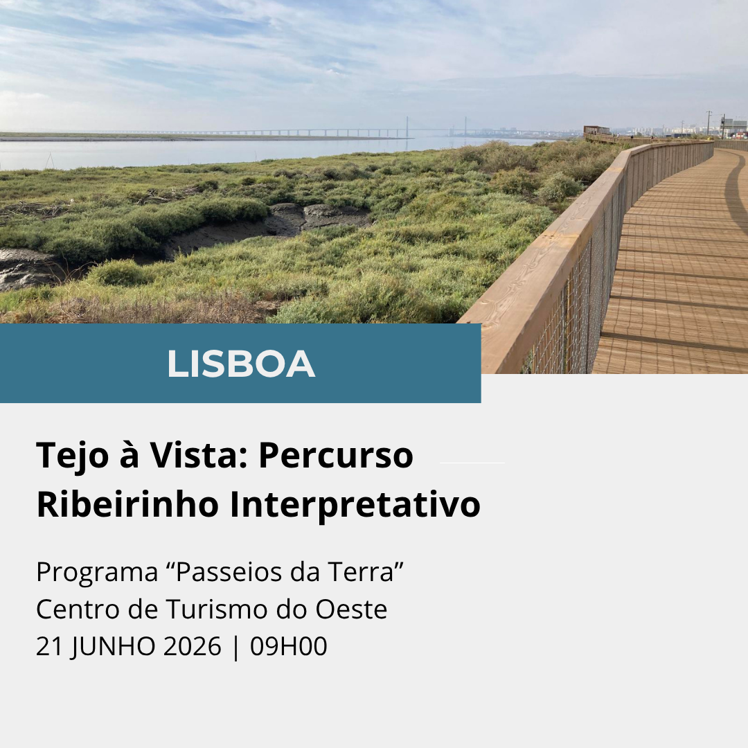 Tejo a Vista