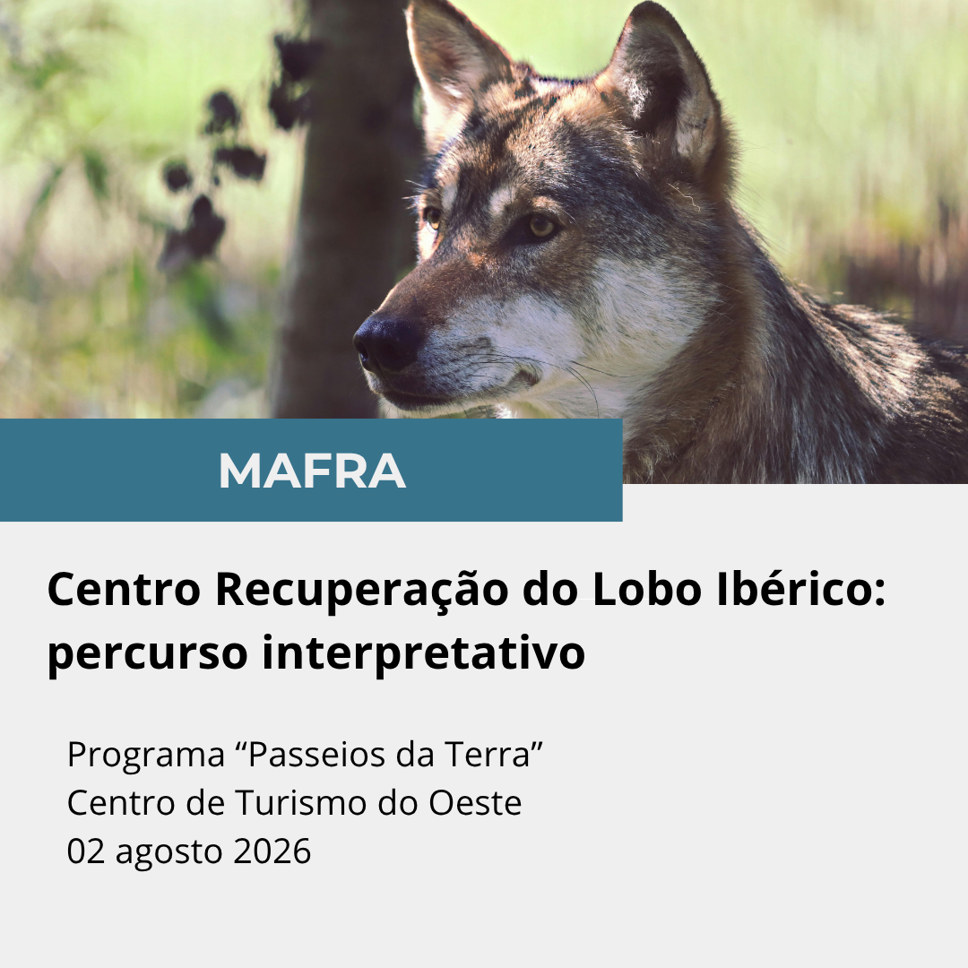 Passeios-da-Terra-5 (1)