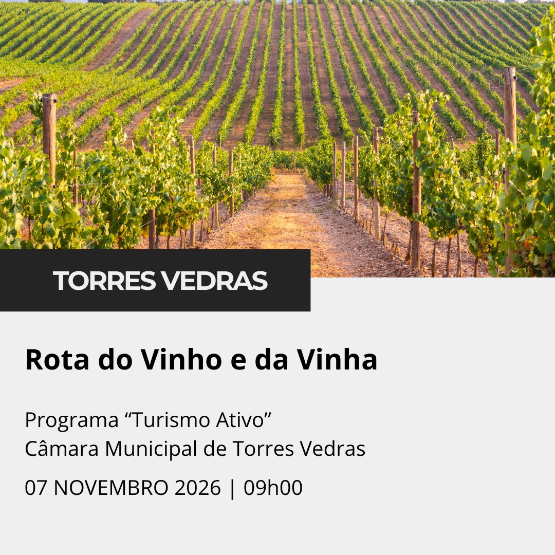 Caminhada - Rota do Vinho e da Vinha
