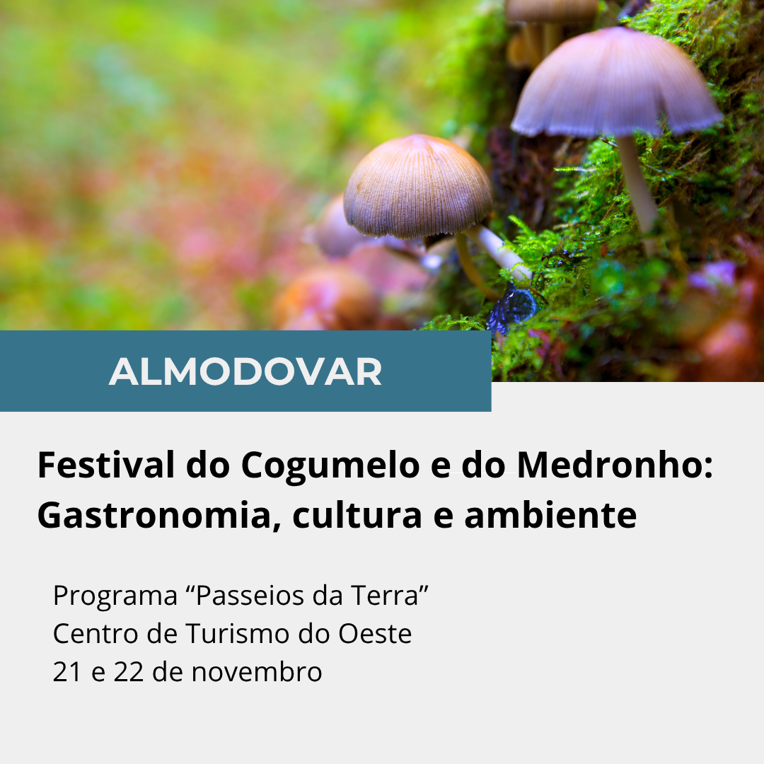 Caminhadas, gastronomia, festa, cultura e património