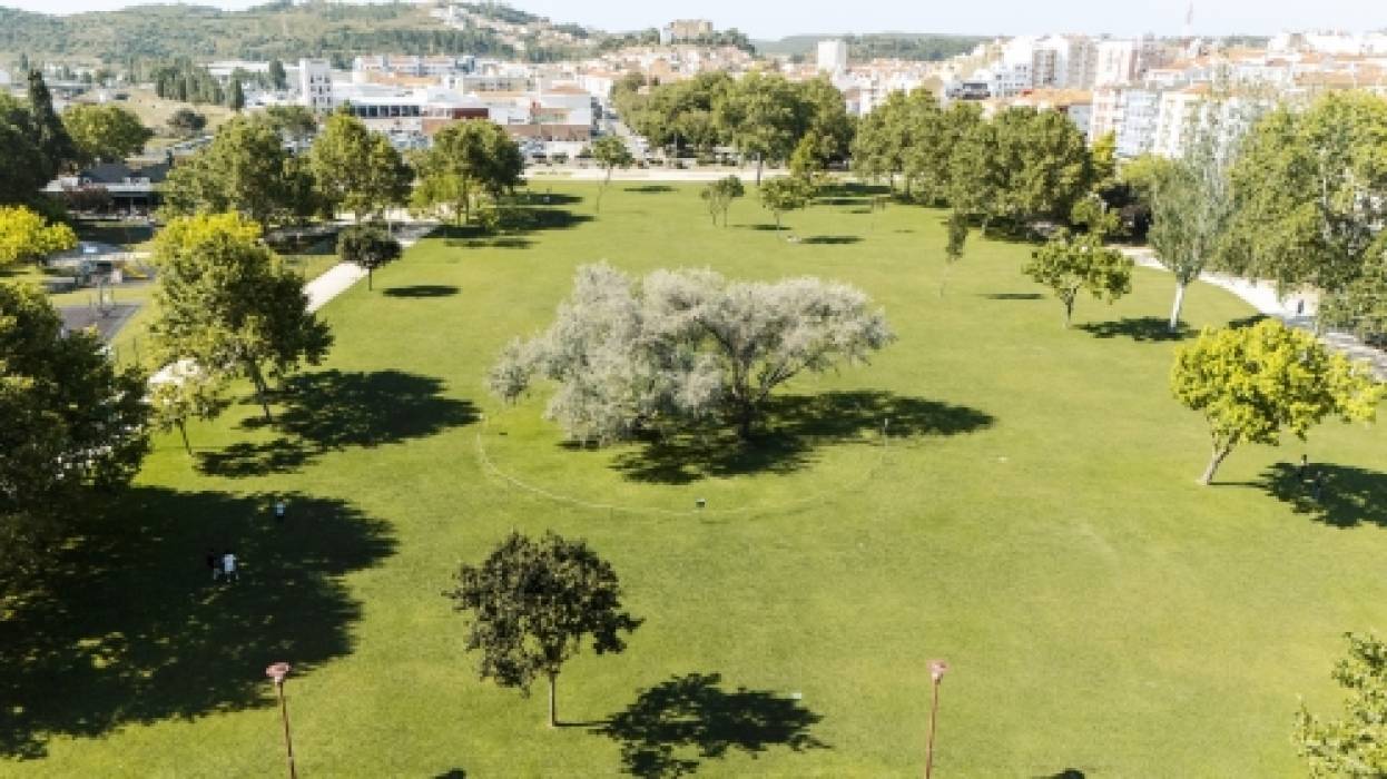 Caminhada pelas Florestas de Torres Vedras